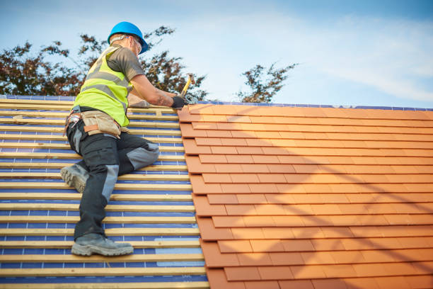 Best Gutter Installation and Repair  in Arcola, TX