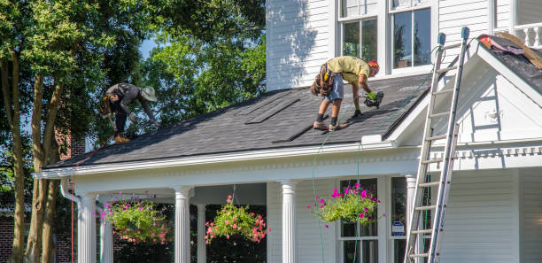 Best Roof Ventilation Installation  in Arcola, TX